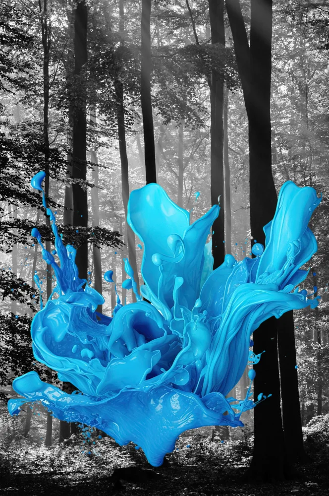 Skellern, Sue: Blue splash in Forest