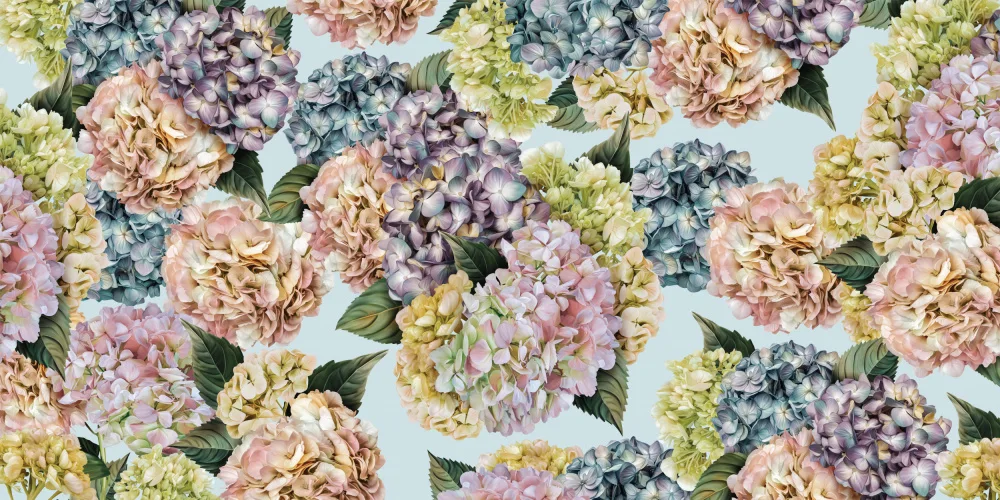 Skellern, Sue: hortensias_cielo