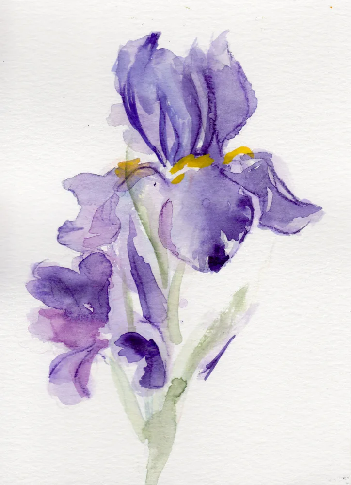 Lindstrom, Christine: Iris únor II
