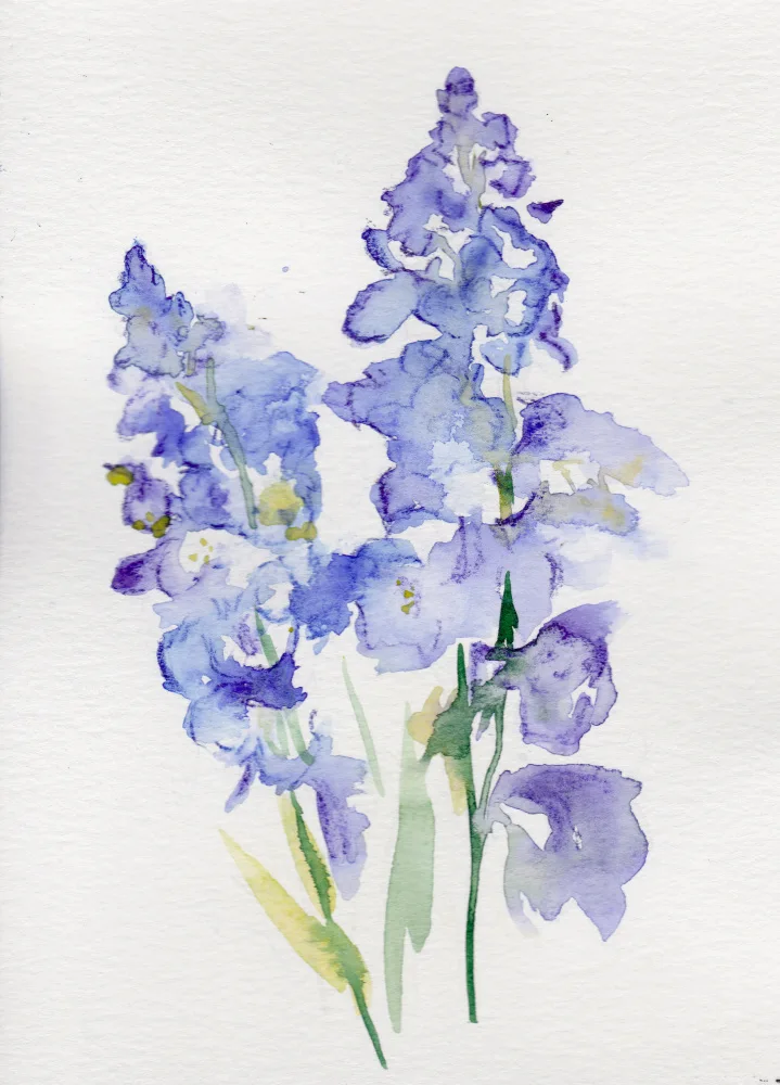 Lindstrom, Christine: Larkspur červenec