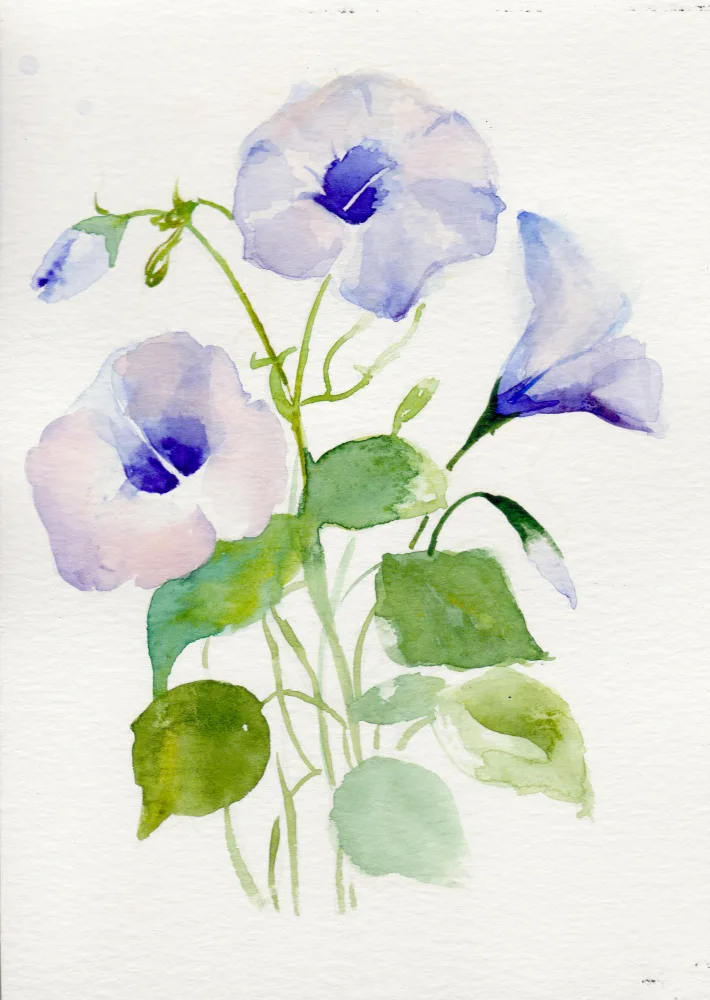 Lindstrom, Christine: Morning Glory September