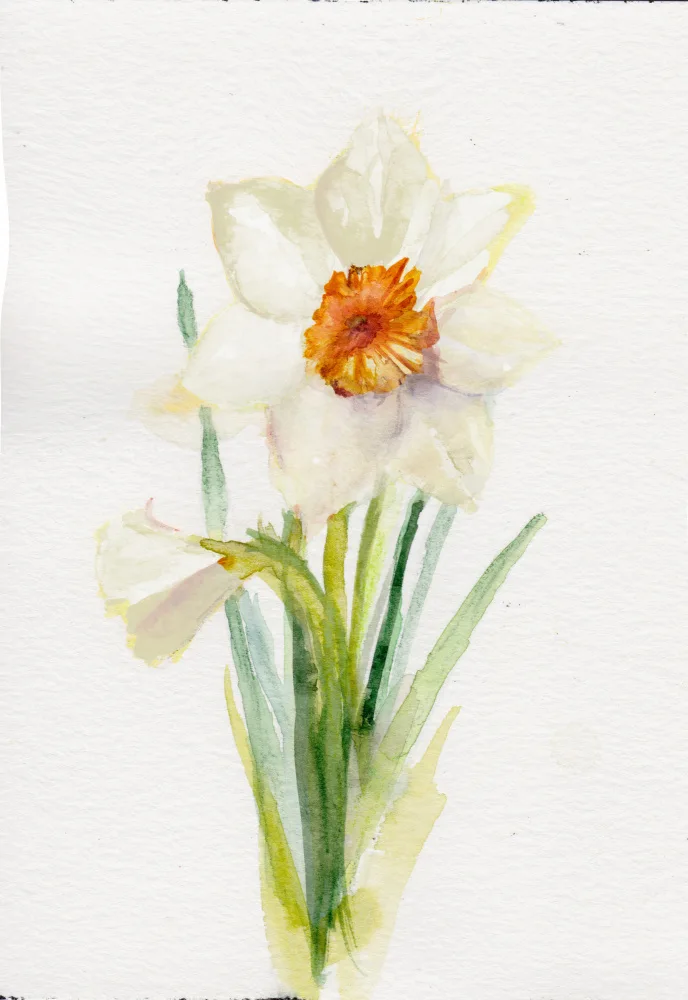 Lindstrom, Christine: Narcis prosinec