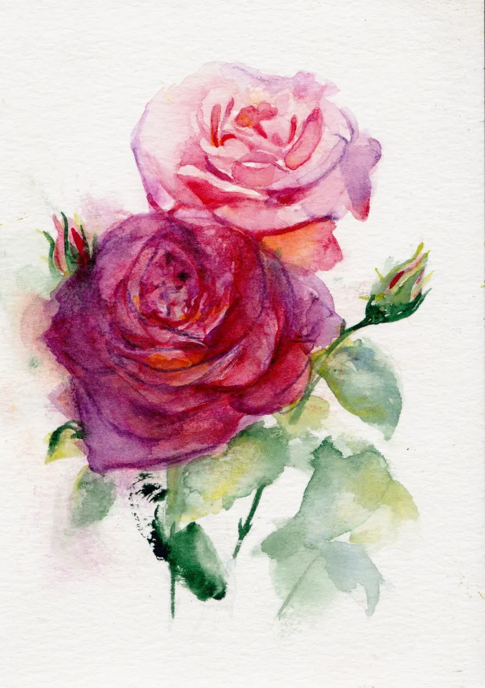 Lindstrom, Christine: Rosa giugno
