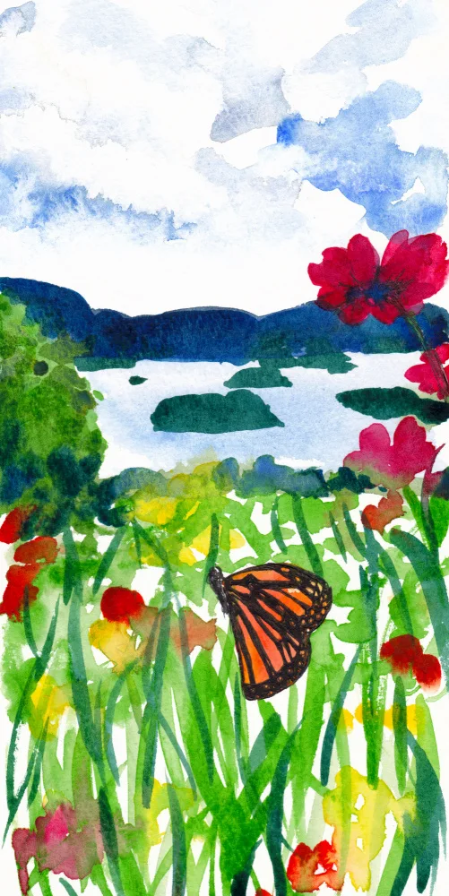 Lindstrom, Christine: Adirondacks