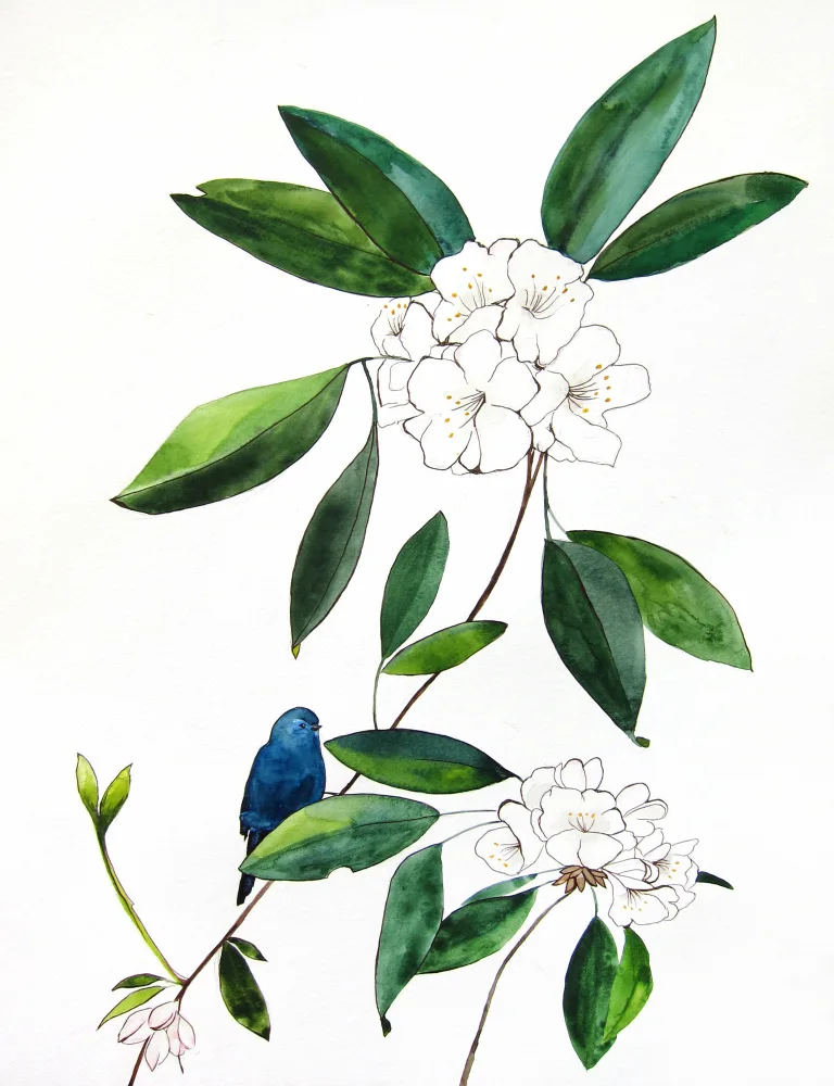 Lindstrom, Christine: Unter anderemhododendron