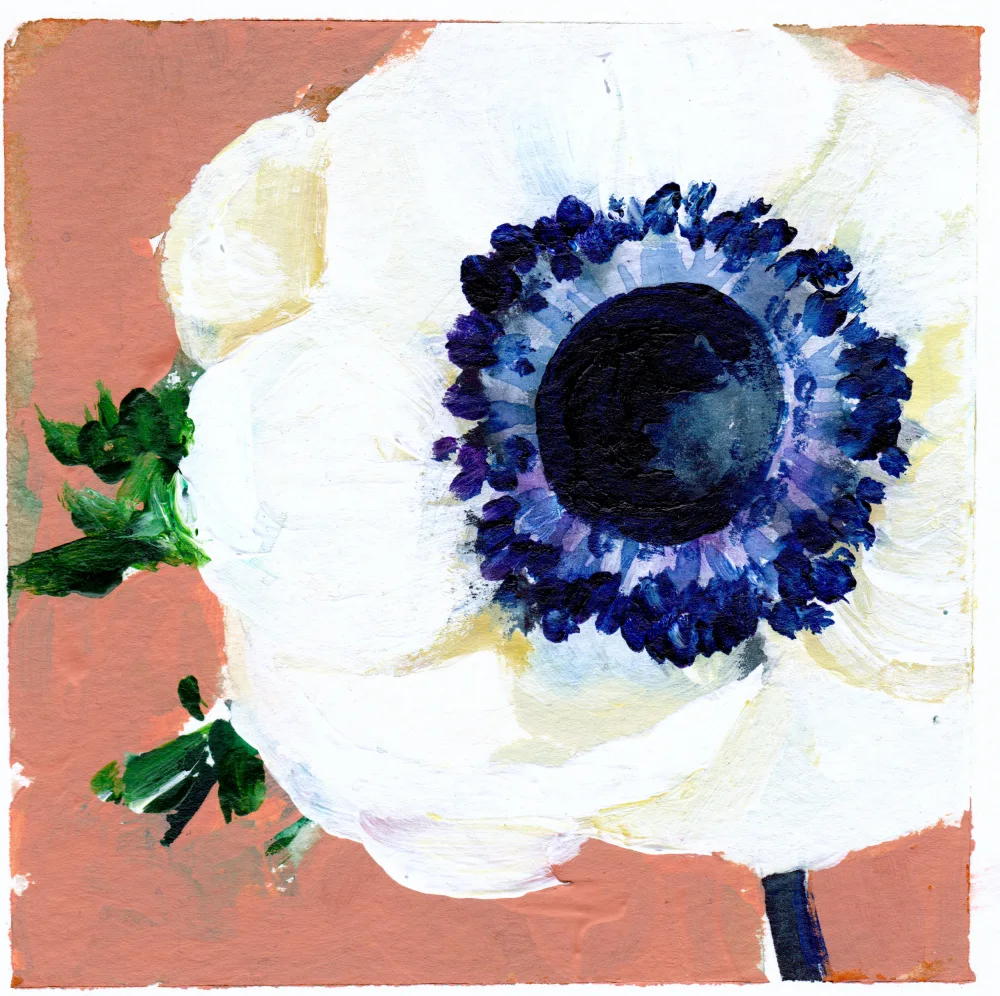 Lindstrom, Christine: Anemone