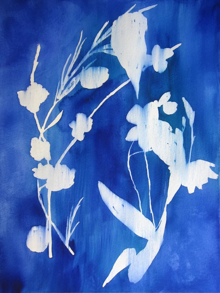 Lindstrom, Christine: Kyanotypie
