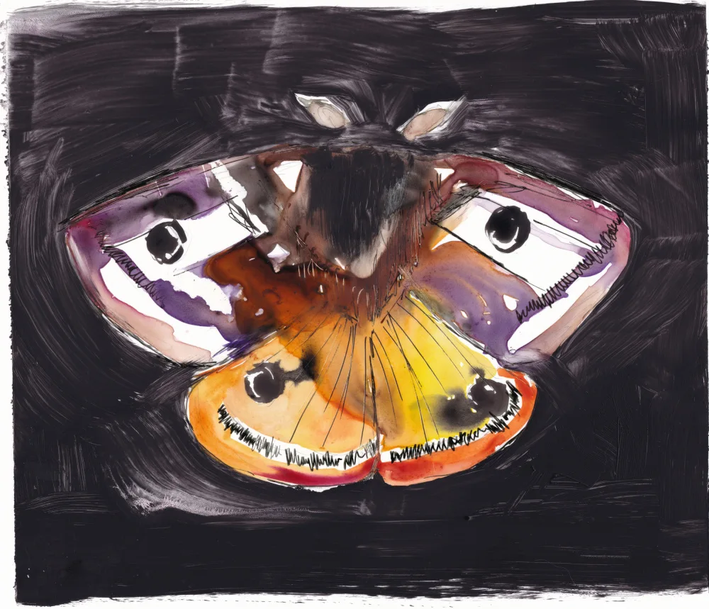 Lindstrom, Christine: Emporer Moth