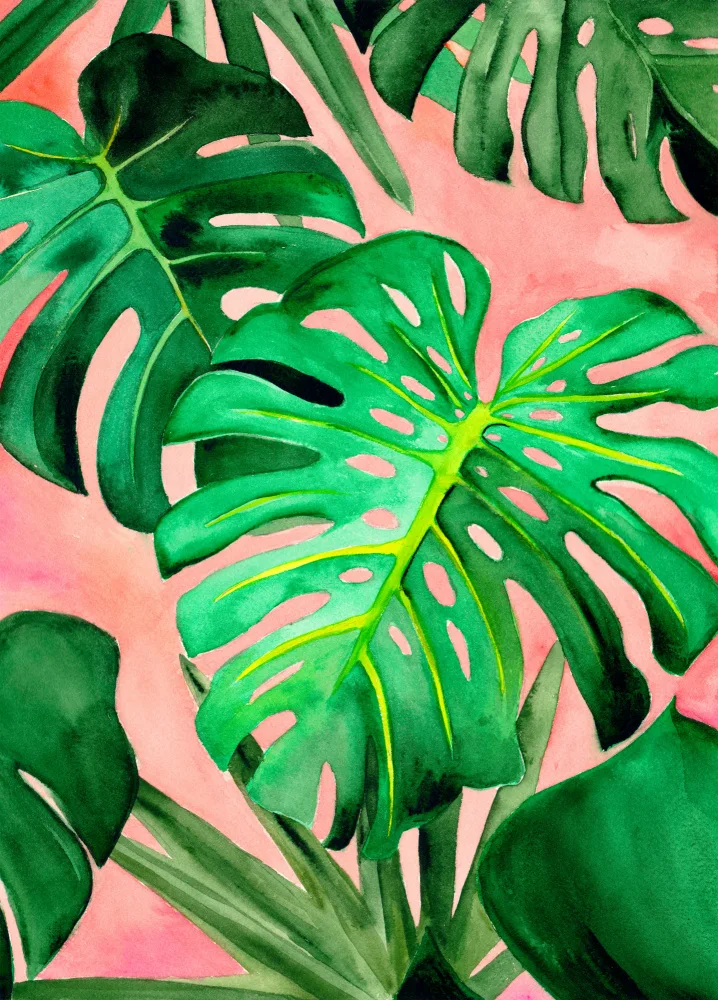 Lindstrom, Christine: Monstera