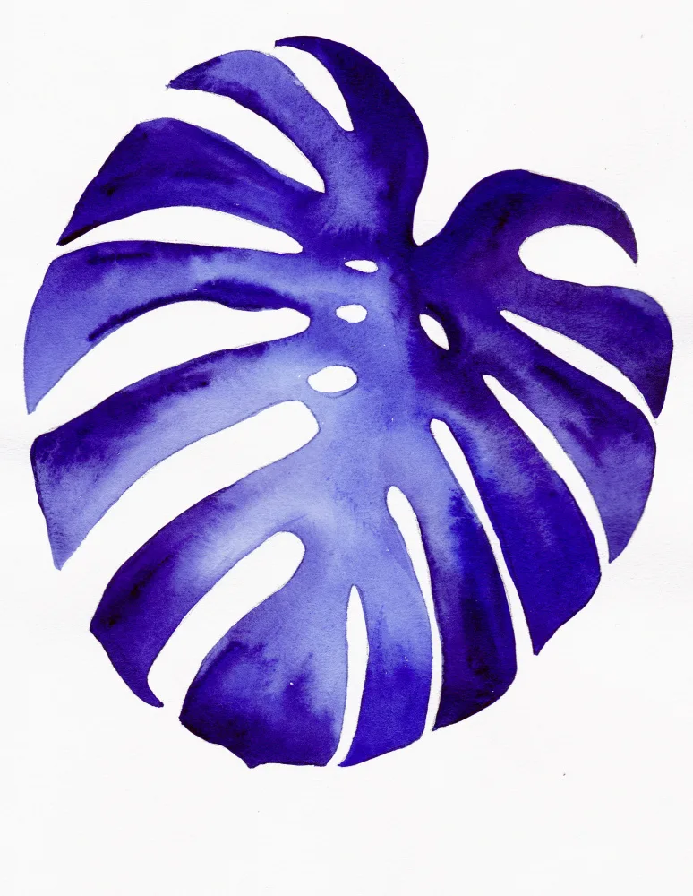 Lindstrom, Christine: Monstera2