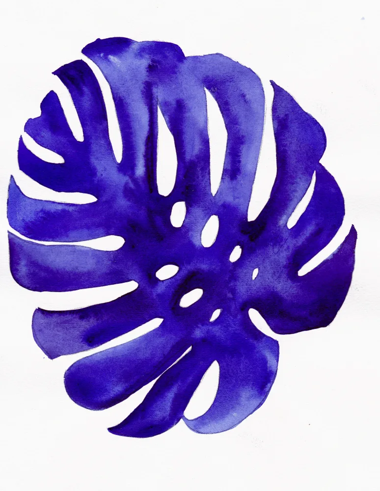 Lindstrom, Christine: Monstera3