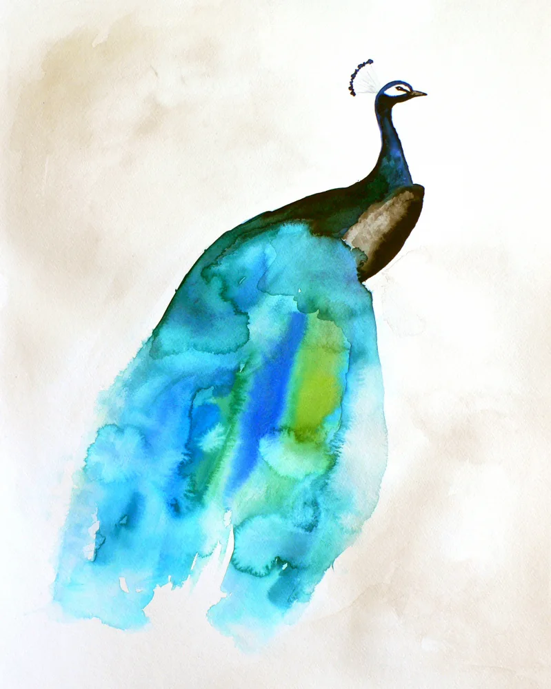Lindstrom, Christine: Pfau II