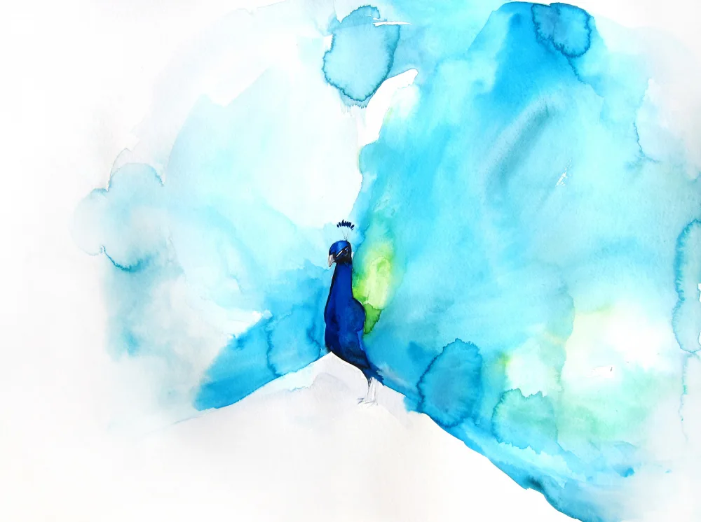 Lindstrom, Christine: Peacockiii 1