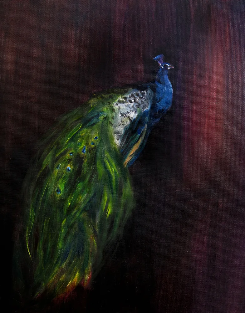 Lindstrom, Christine: Peacockondark