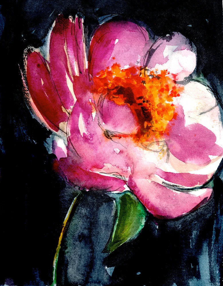 Lindstrom, Christine: Peonia II