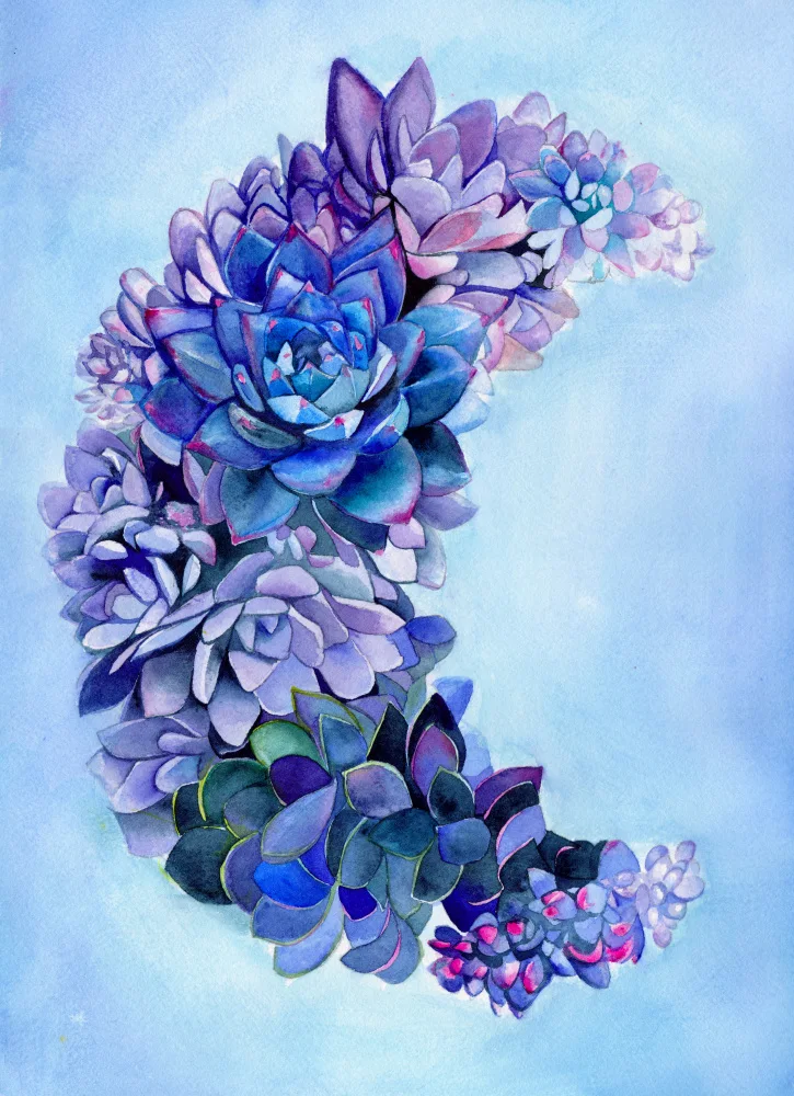 Lindstrom, Christine: Succulente Giardino Lunare Piccolo