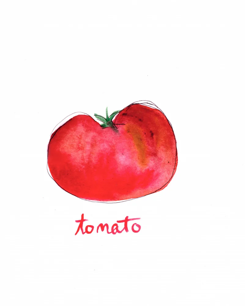 Lindstrom, Christine: Tomate1