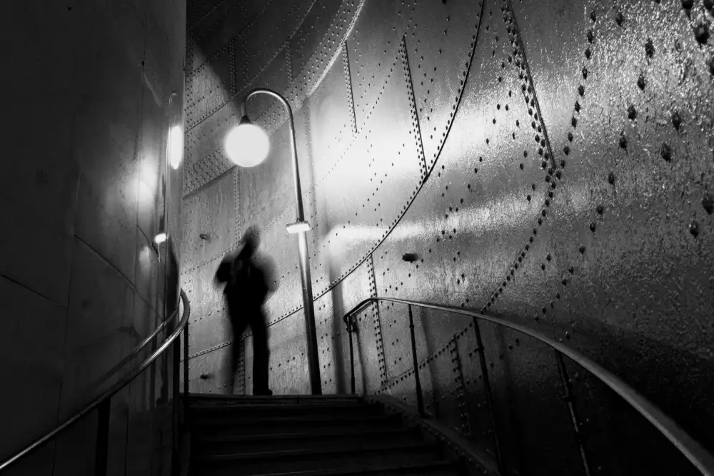 Lionse, Art: Fantasma