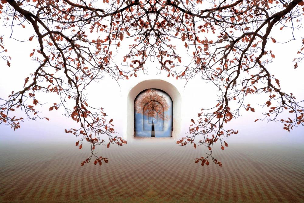 Sillen, Christina: Albero della vita