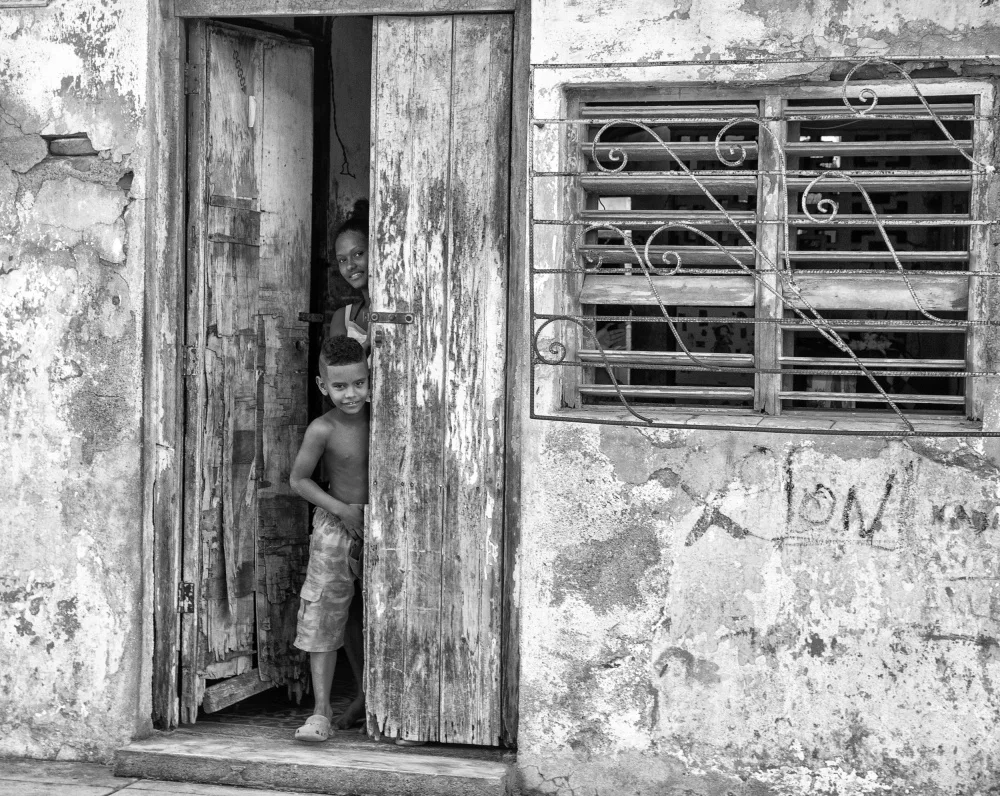 Timiras, Bogdan: Curiosity!