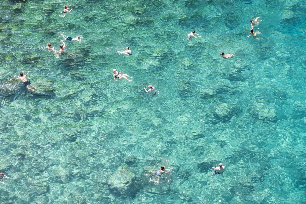 Photolovers: Swimming in the sea