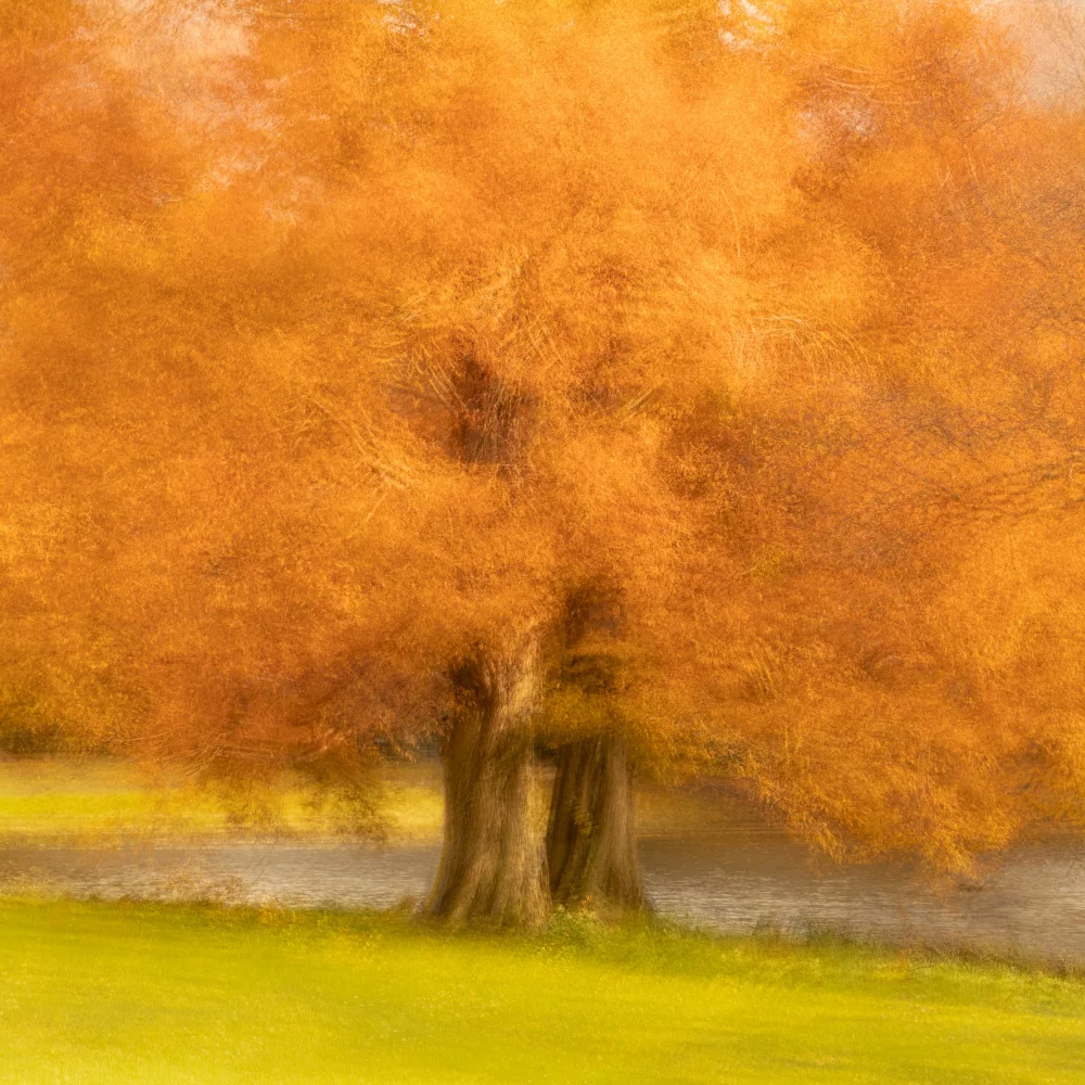 Krimpen, van Brigitte: Malstimmung in Orange