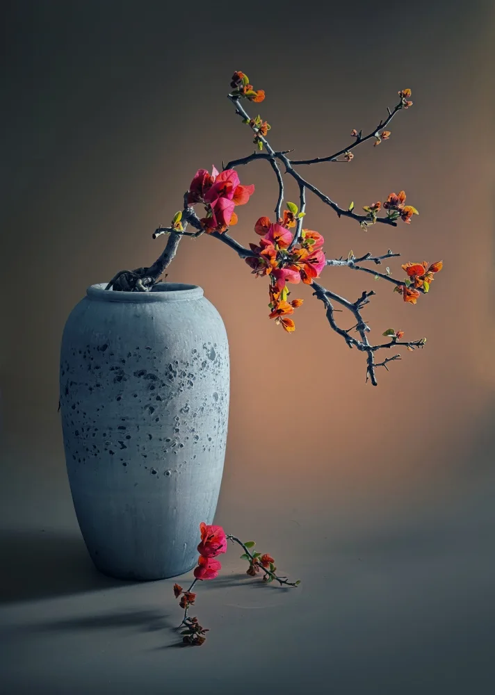 Tseng, Judy: Bougainvillea