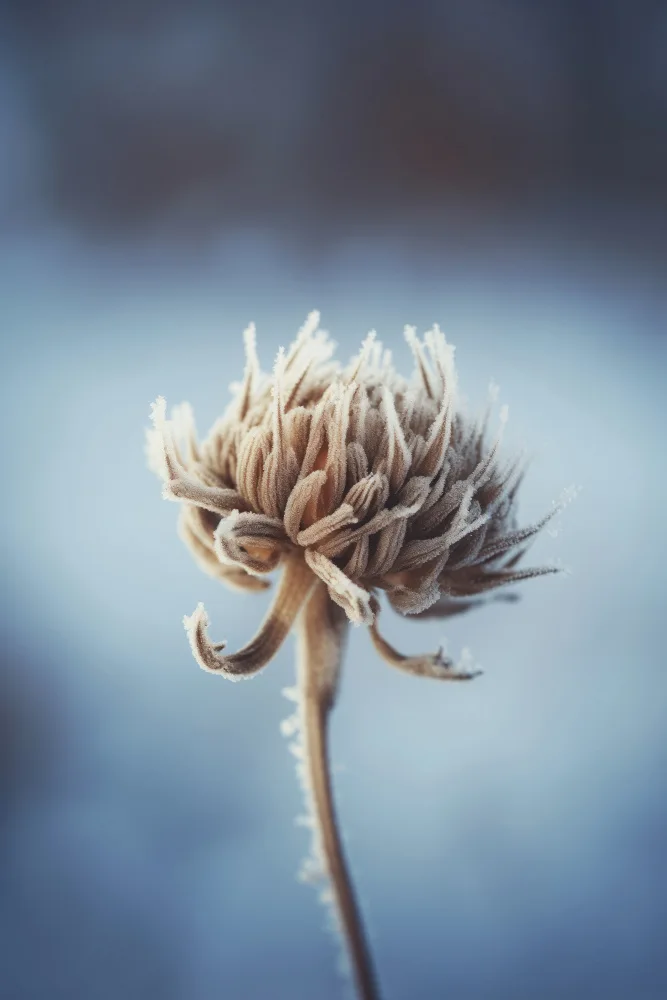 Treechild: Frozenflowerno4