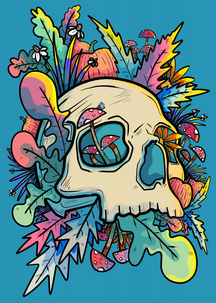 Wade, Stephen: Mushrooms and the Colourful Skull