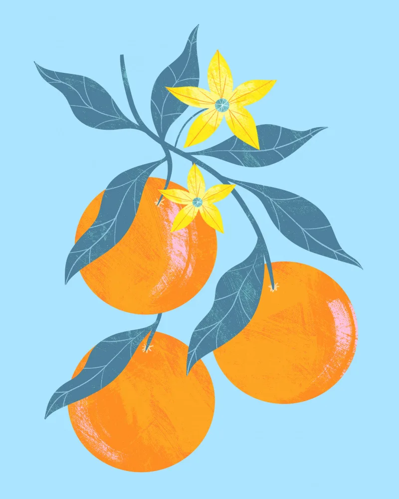Donne, Melissa: Rama Naranja