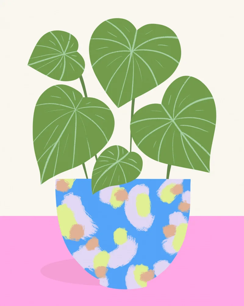 Donne, Melissa: Planta en maceta estampada