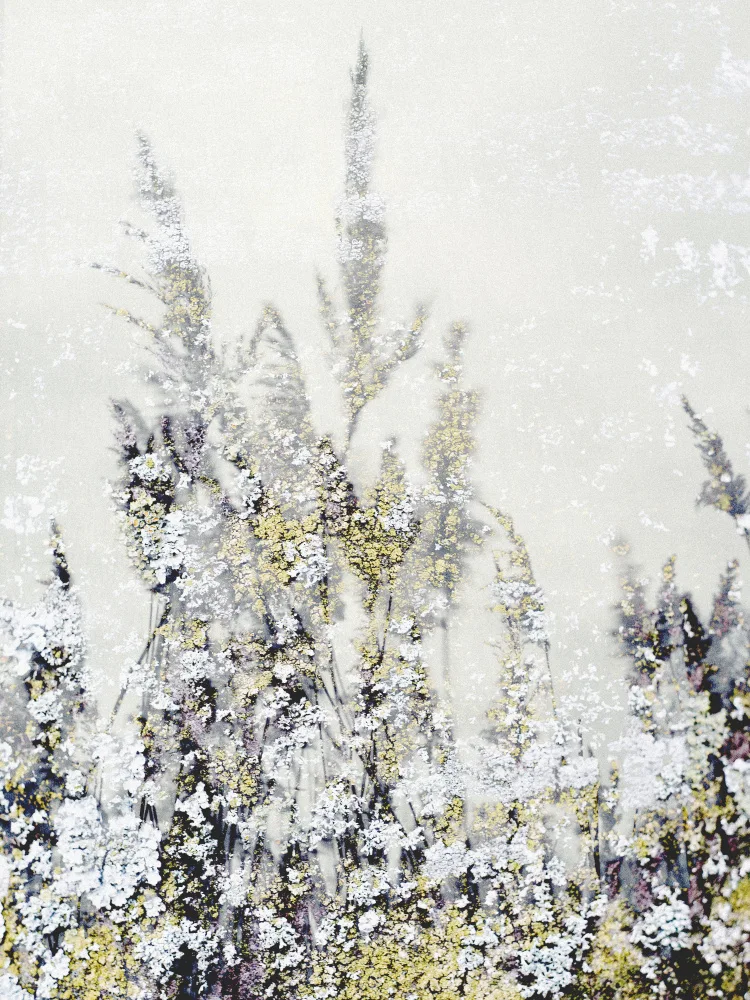 Imaginative: Tanzendes Gras 3