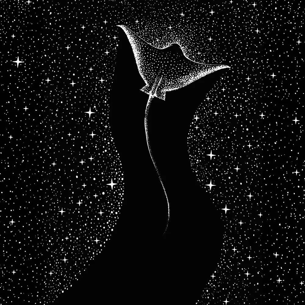 ÇAKIR, Alirıza: Star Collector (black Version)