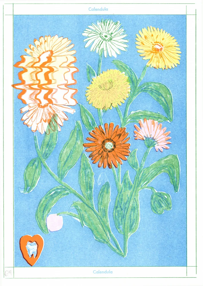 Make, Emma: Calendula