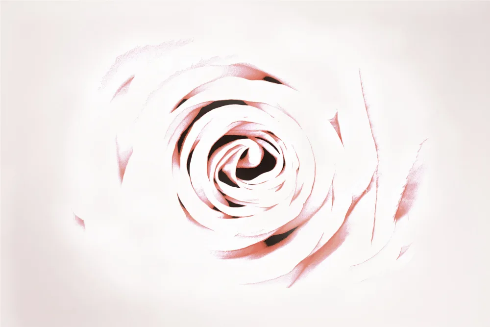 Sillen, Christina: Rosa