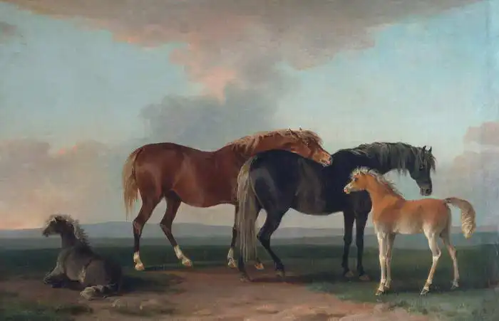 Gilpin, Sawrey: Mares a Foals