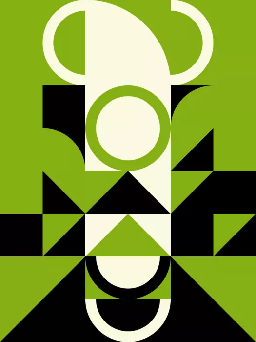 Strnad, Petr: Geometrická harmonie