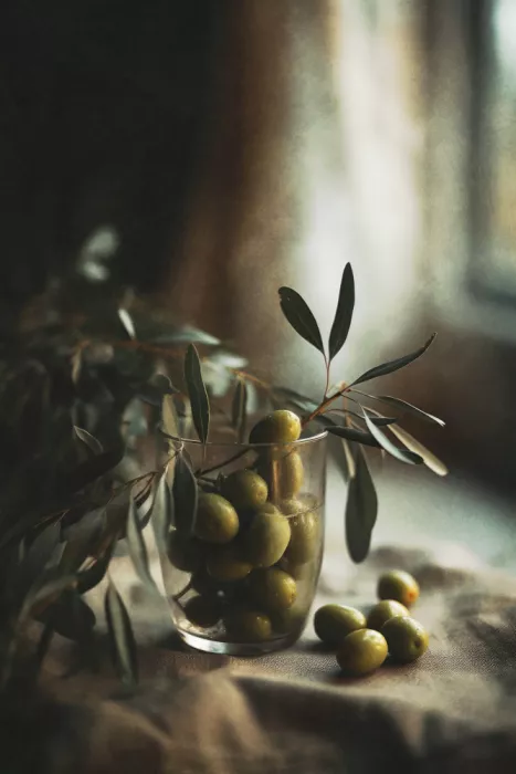Treechild: Klid olivy