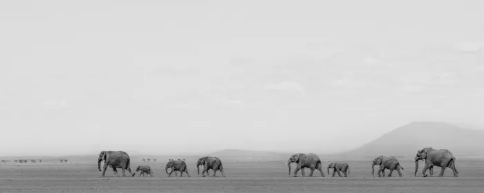 Lu, Jennifer: Migration