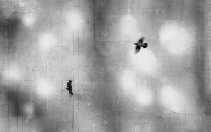 Kim, Parole: Alone
