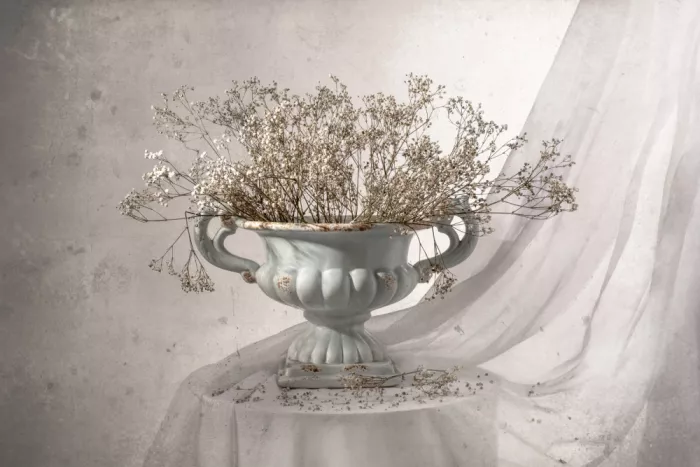 Perfoncio, Margareth: Aged flower