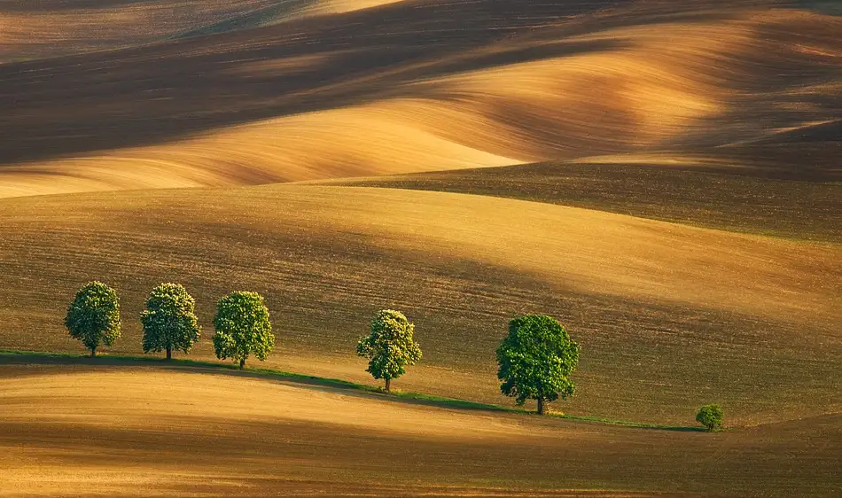 Browko, Krzysztof: Six...