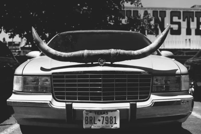 Young, Bethany: Texas Ride