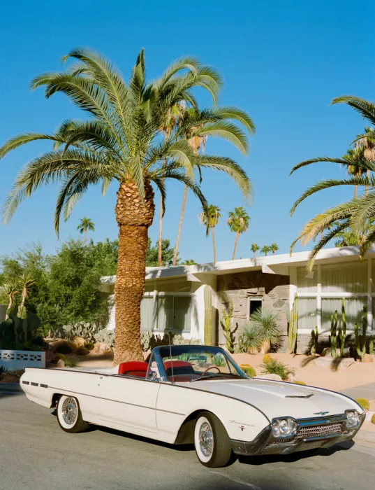 Young, Bethany: Palm Springs Thunderbird