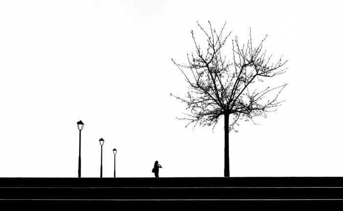 Jafarikhah, Yaser: Decisione