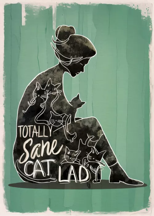 Magnusson, Andreas: Totally Sane Cat Lady