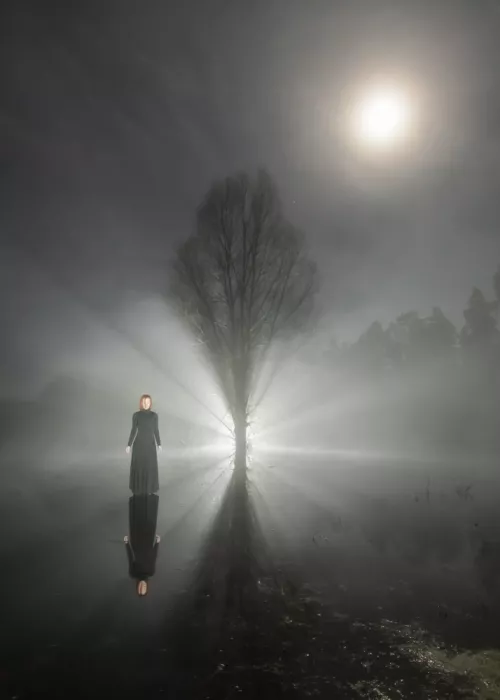 Paradowski, Leszek: Mondlicht Nacht