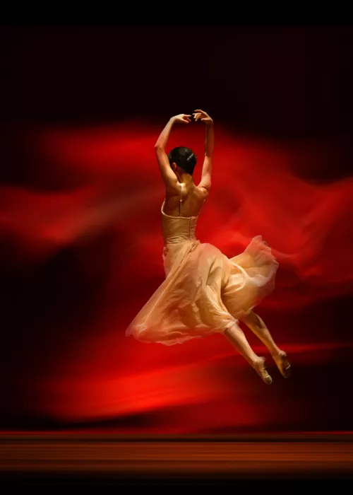 Li, Rob: Flux rouge