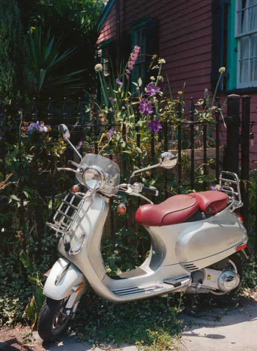 Young, Bethany: New Orleans Ride IV