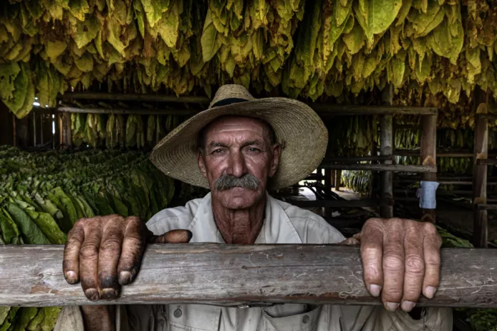 Topalismailoglu, Nevra: El Hombre del tabaco